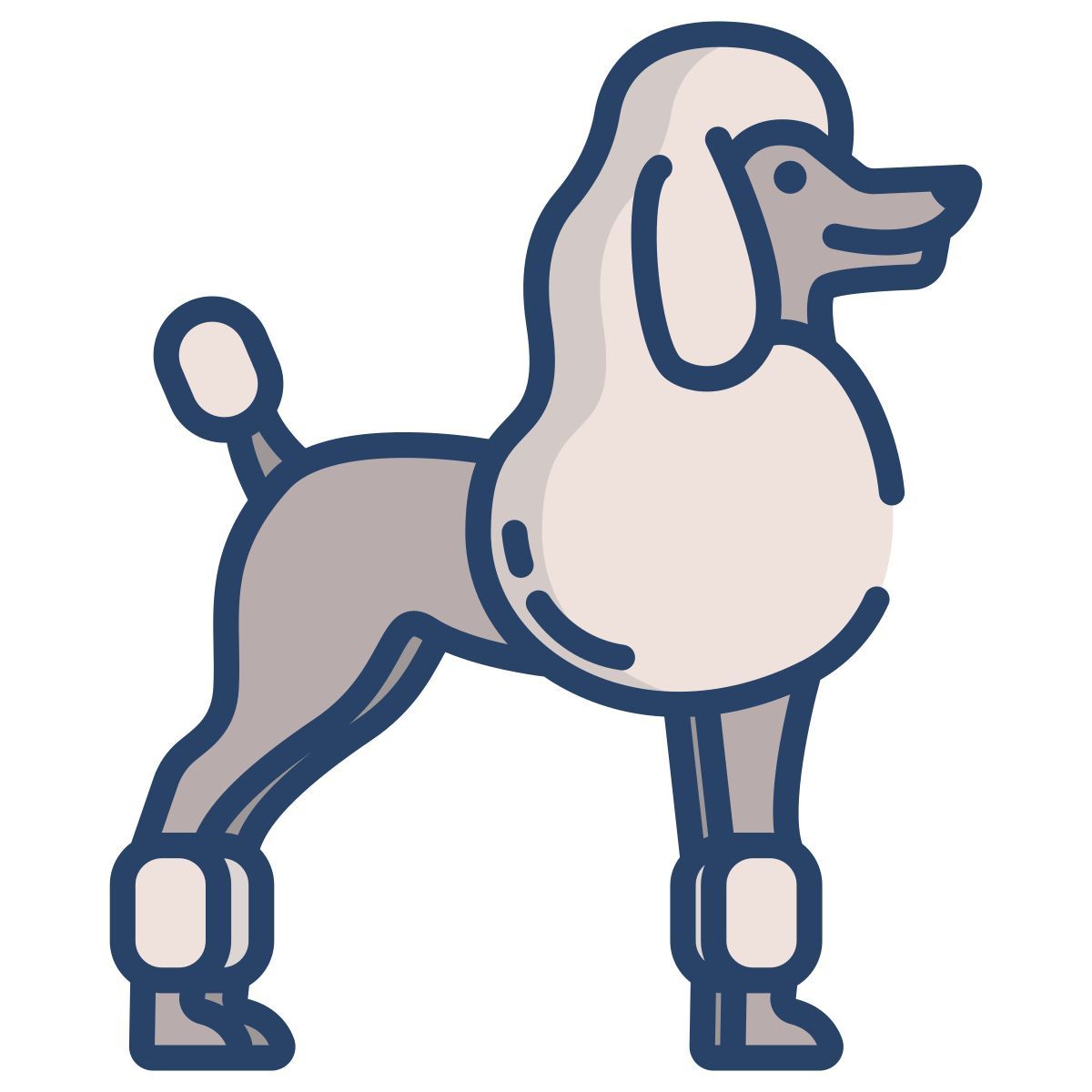 französischer pudel icon