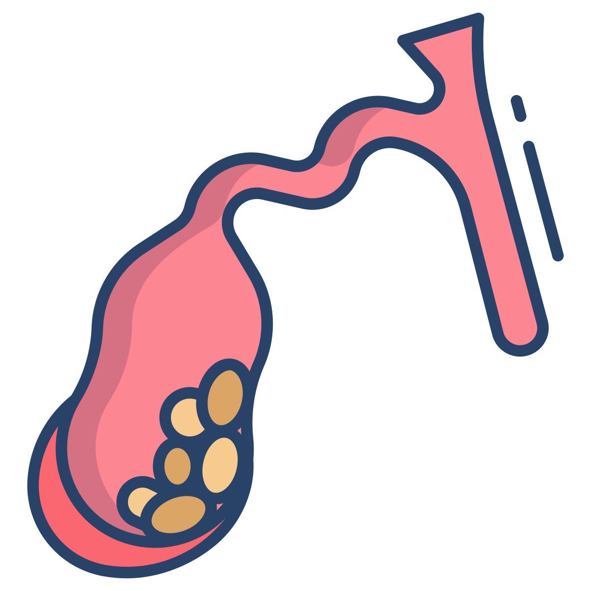 gallbladder disease icon