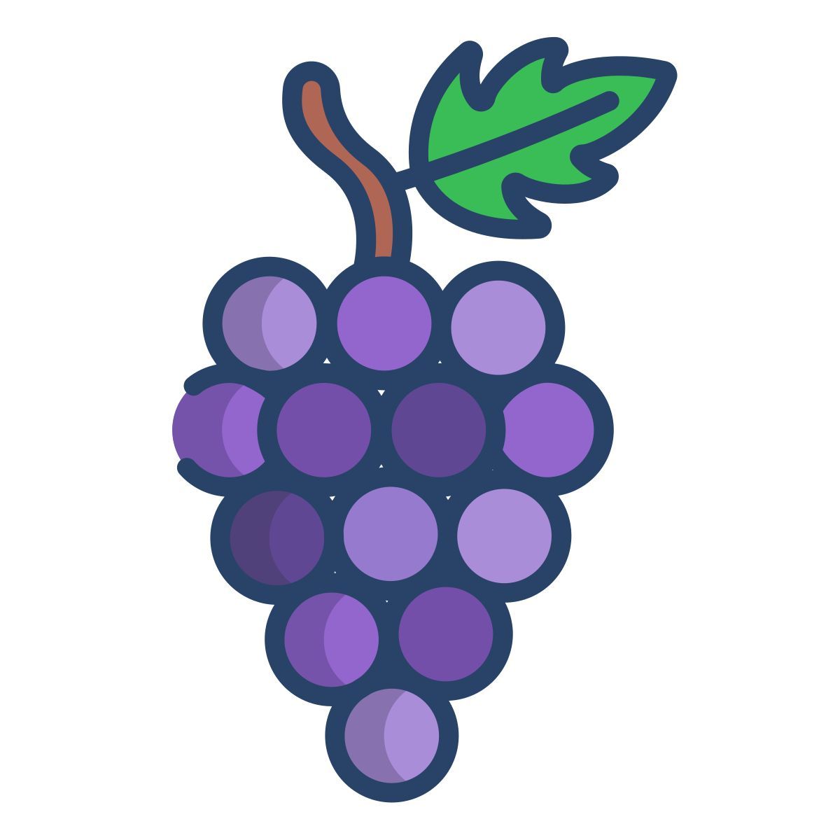 grapes icon
