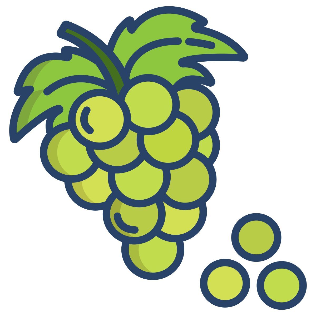 grapes icon