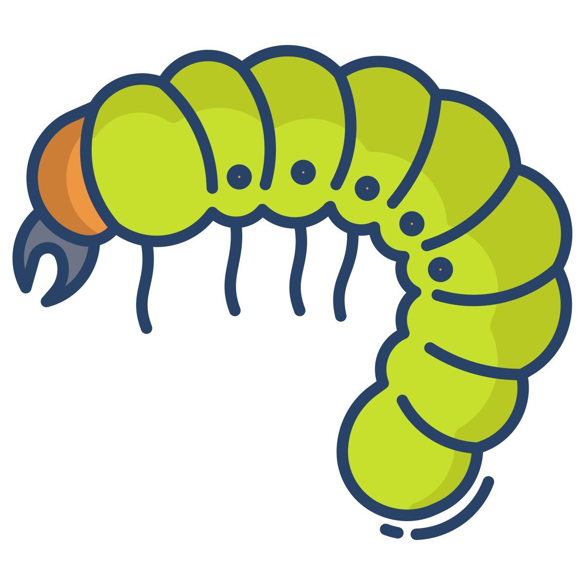 larva de minhoca icon