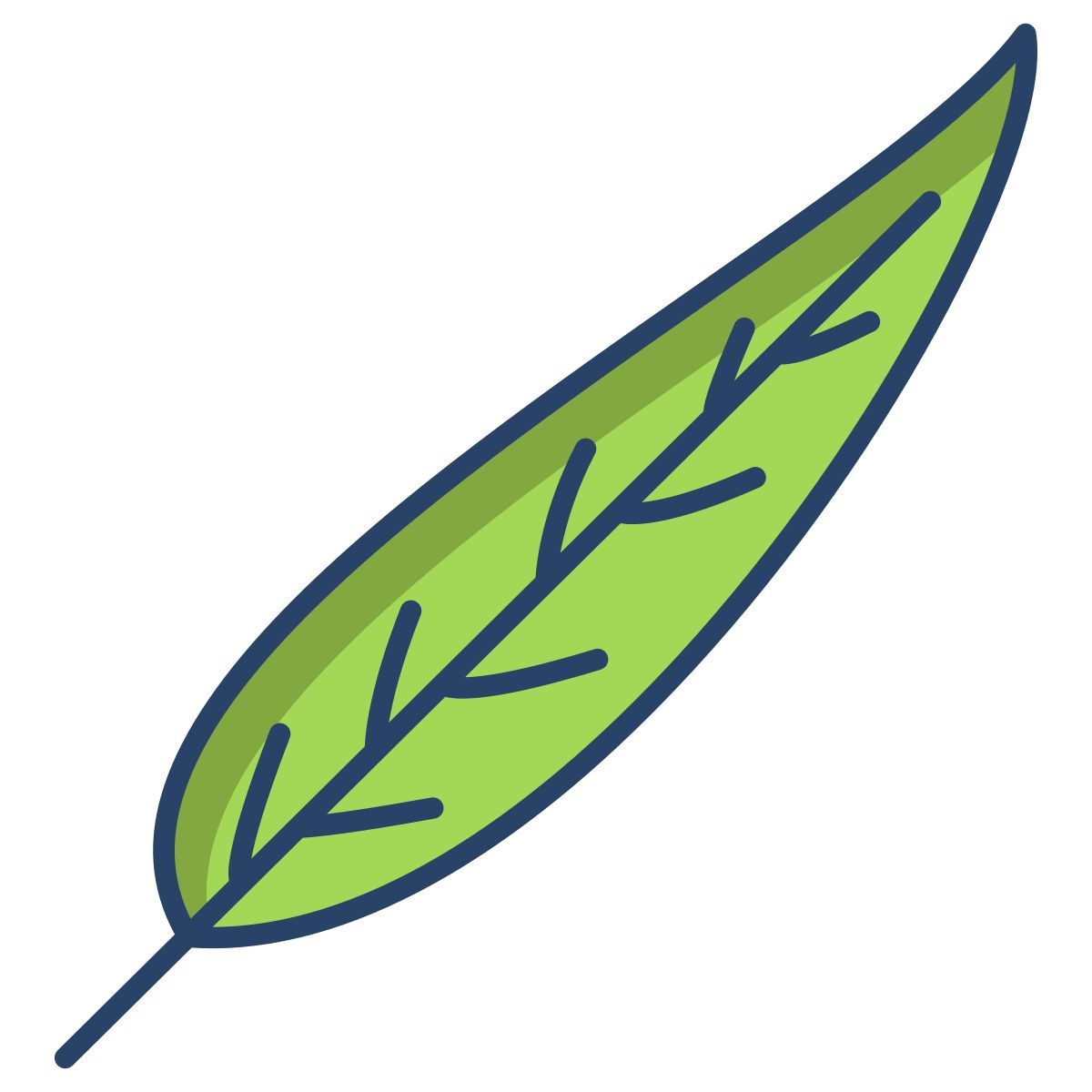 gum tree leaf icon