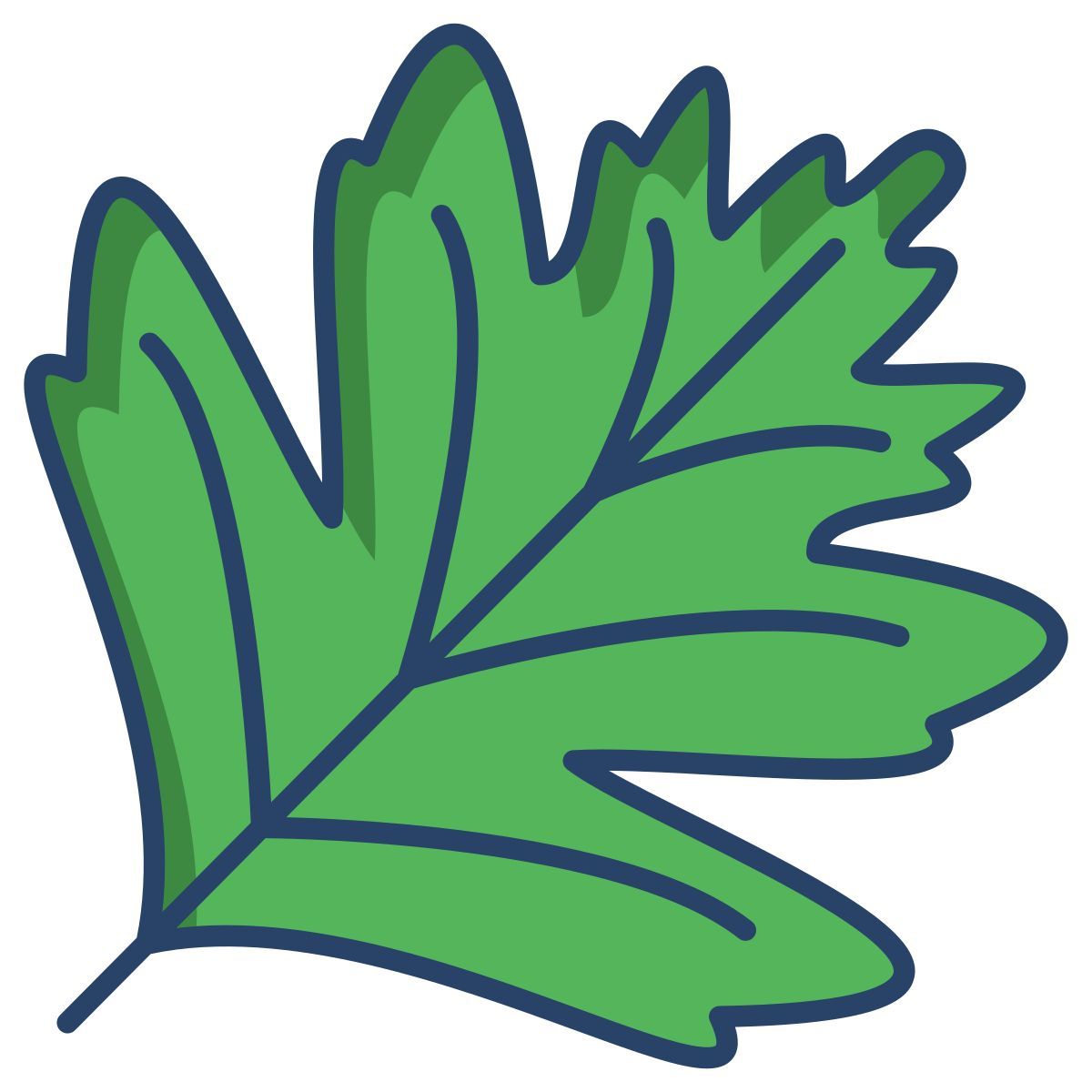 hawthorn leaf icon
