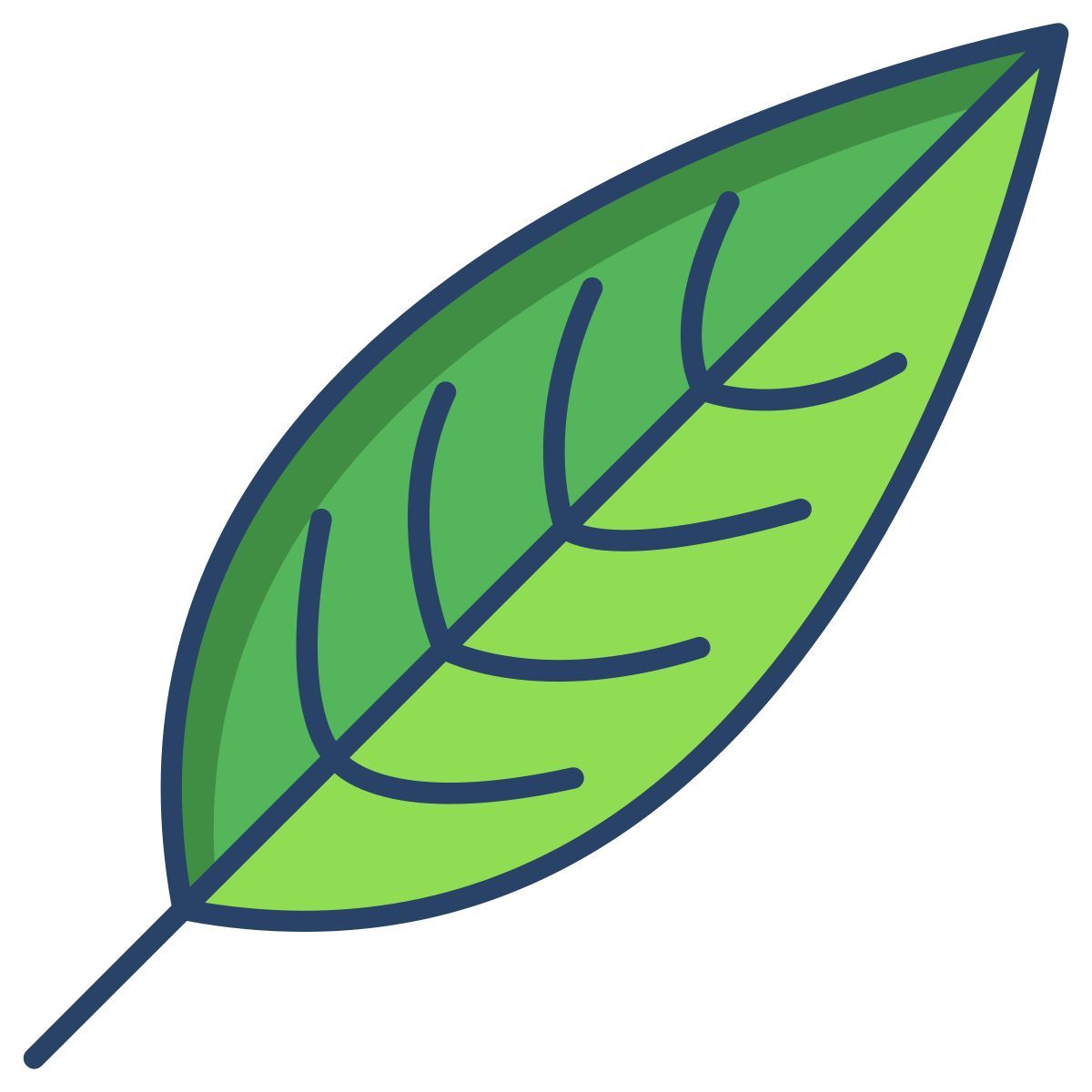 heliconia leaf icon