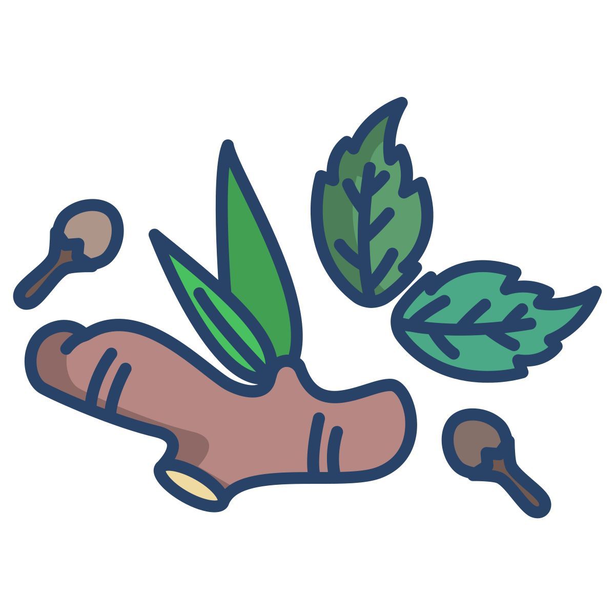 herbs and spices icon