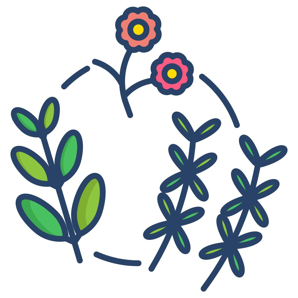 herbs icon
