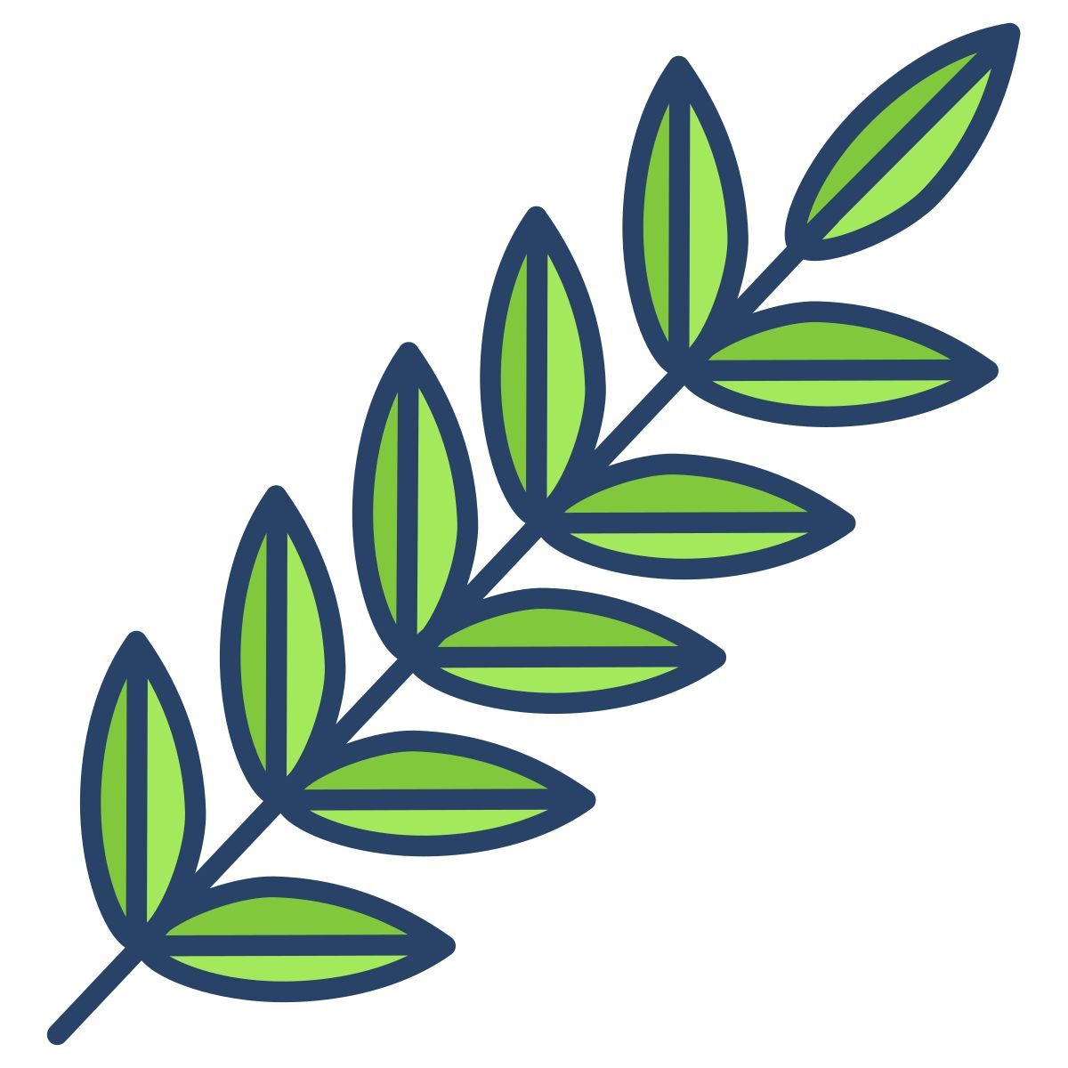 honey locust leaf icon