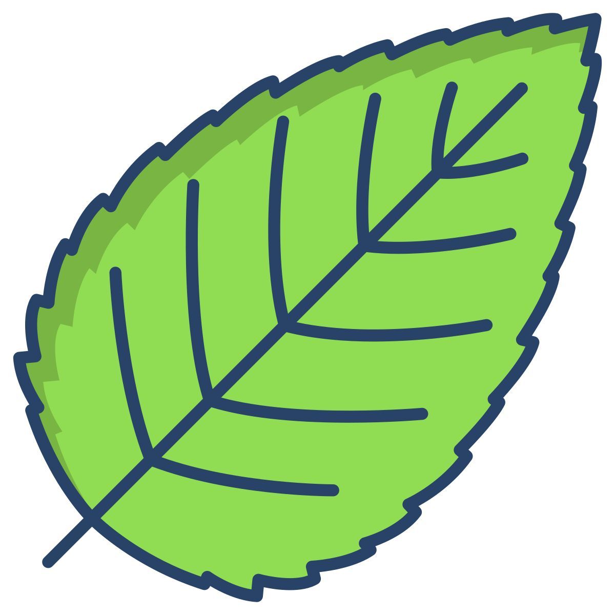 hornbeam leaf icon
