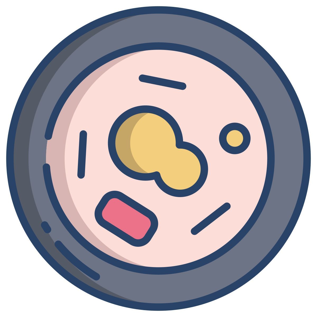 human body anatomy icon