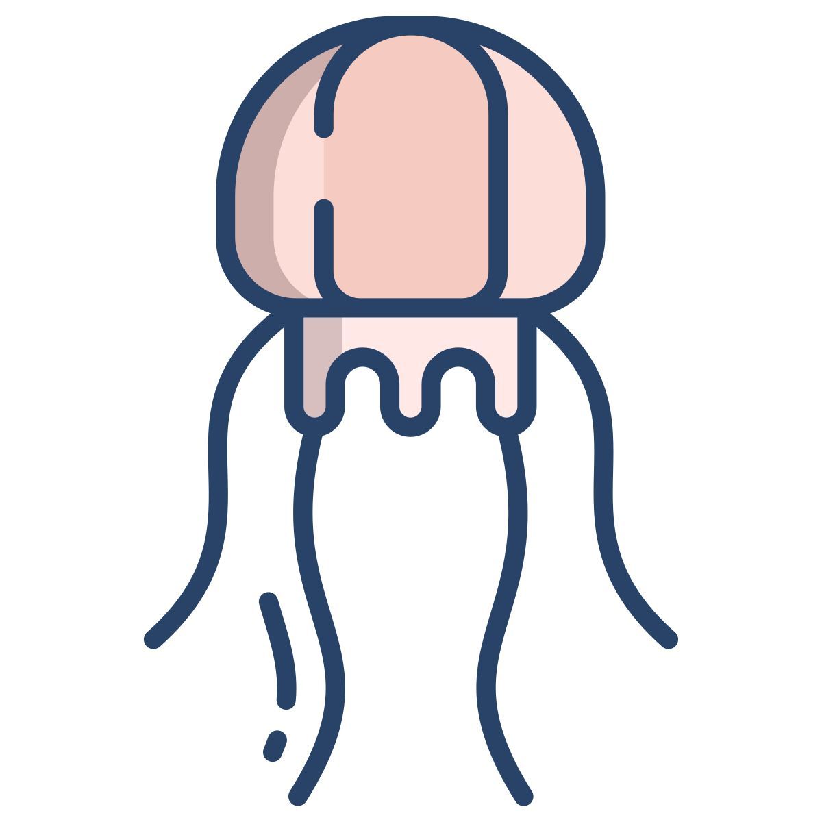 jellyfish icon
