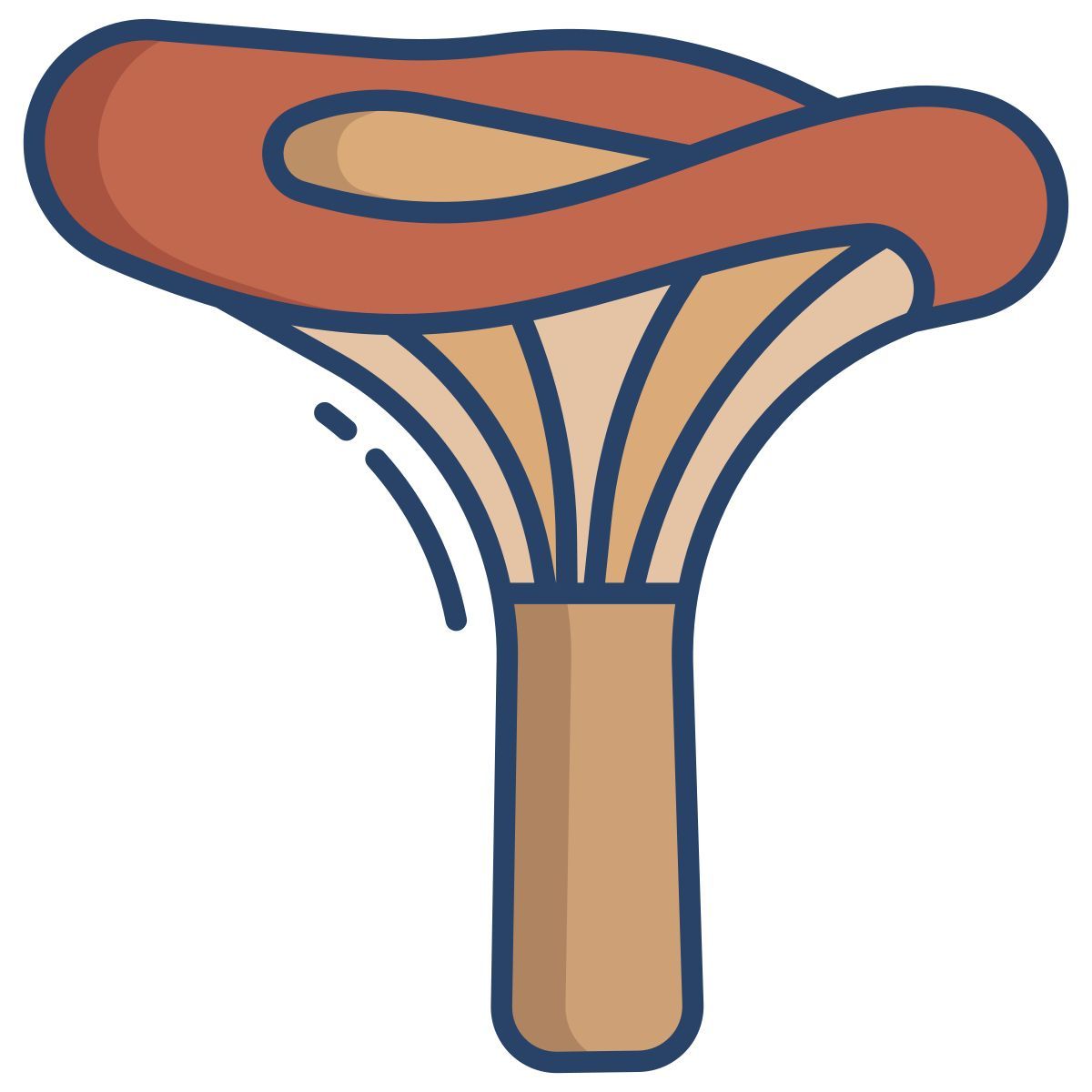 lactarius deliciosus icon