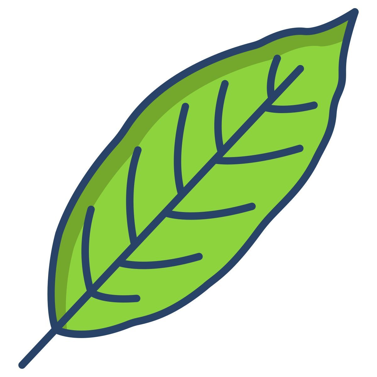 Feuille de laurier icon