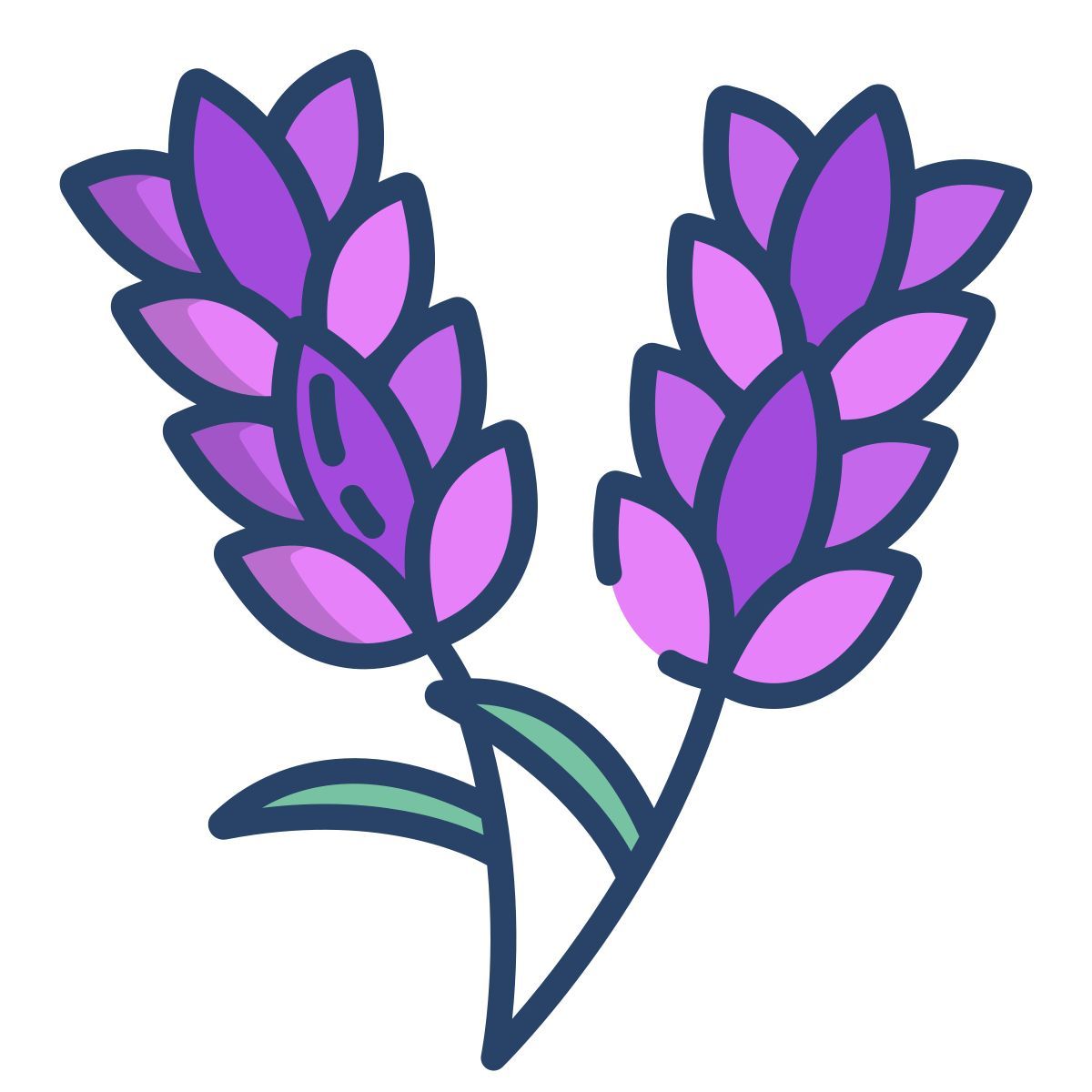 lavanda icon