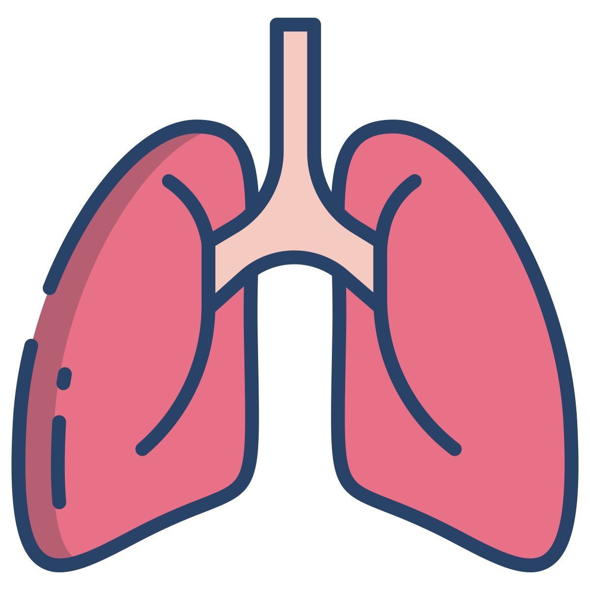 lungs icon
