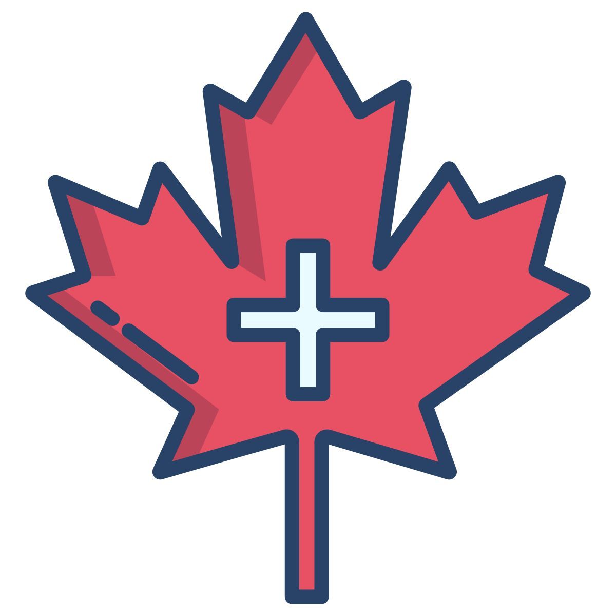medical support icon