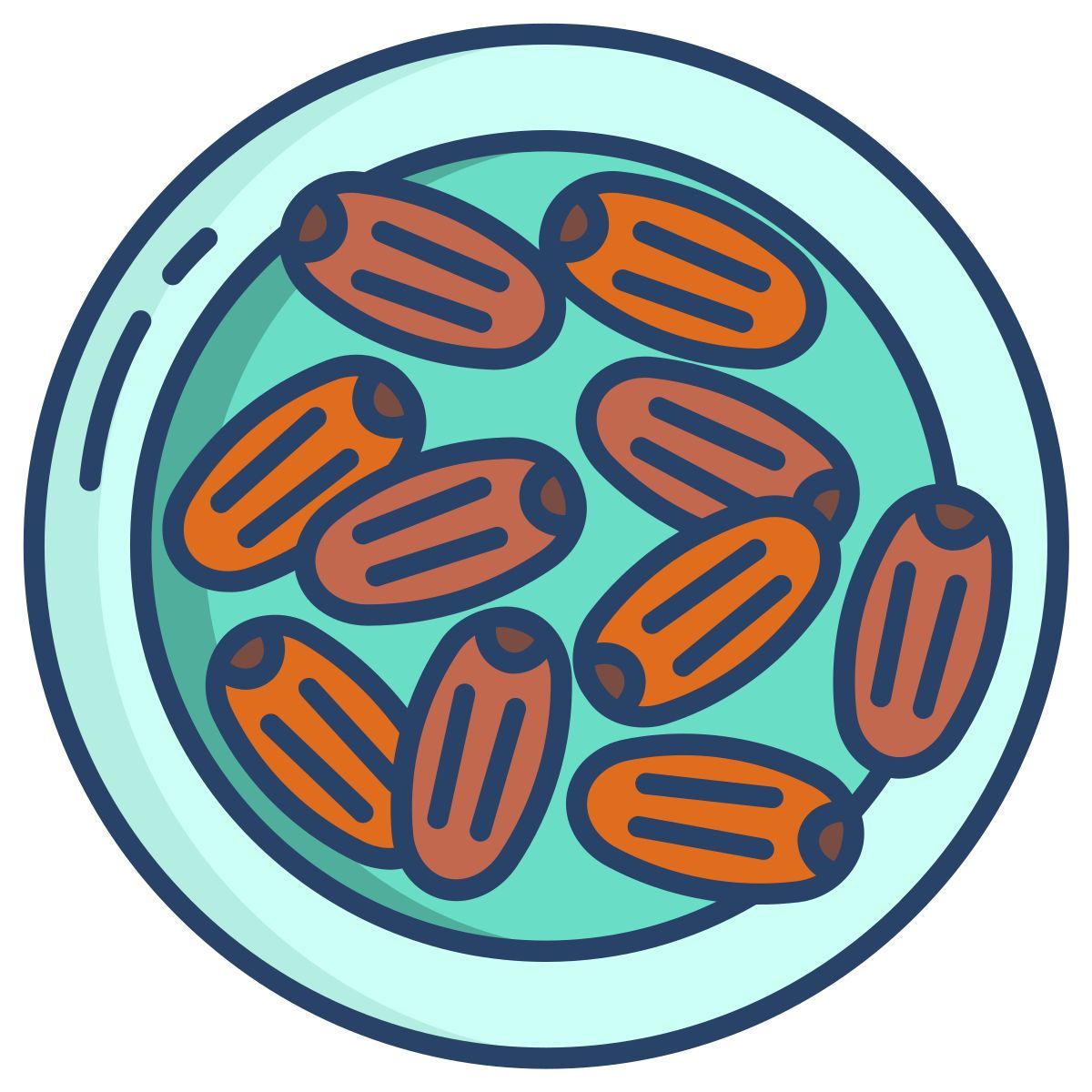 medjool icon