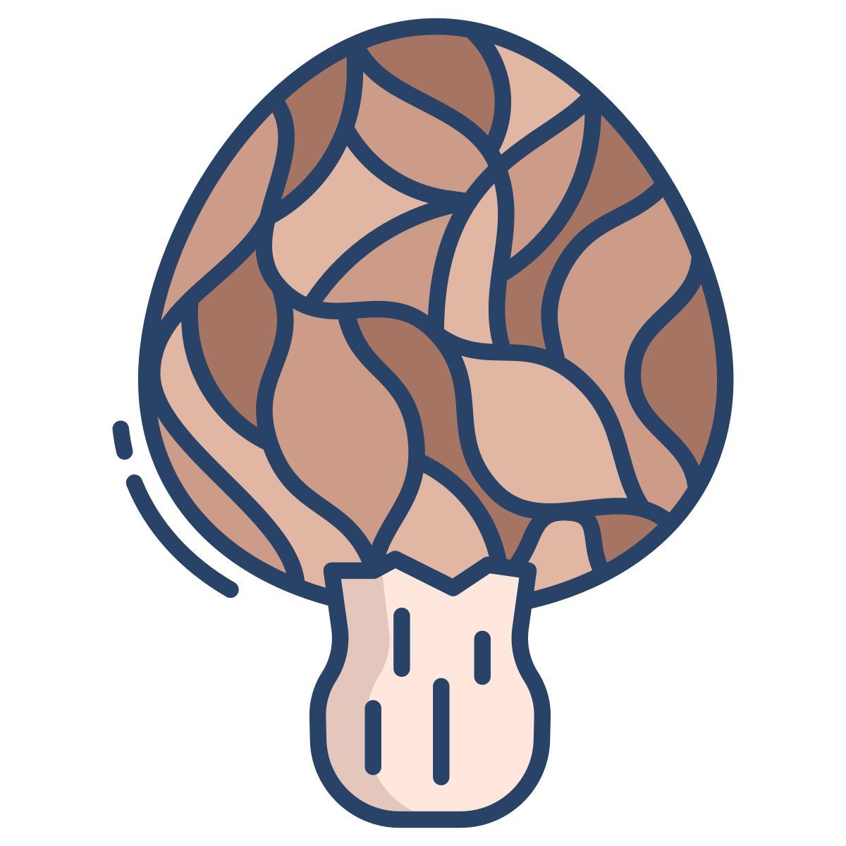 morchella icon