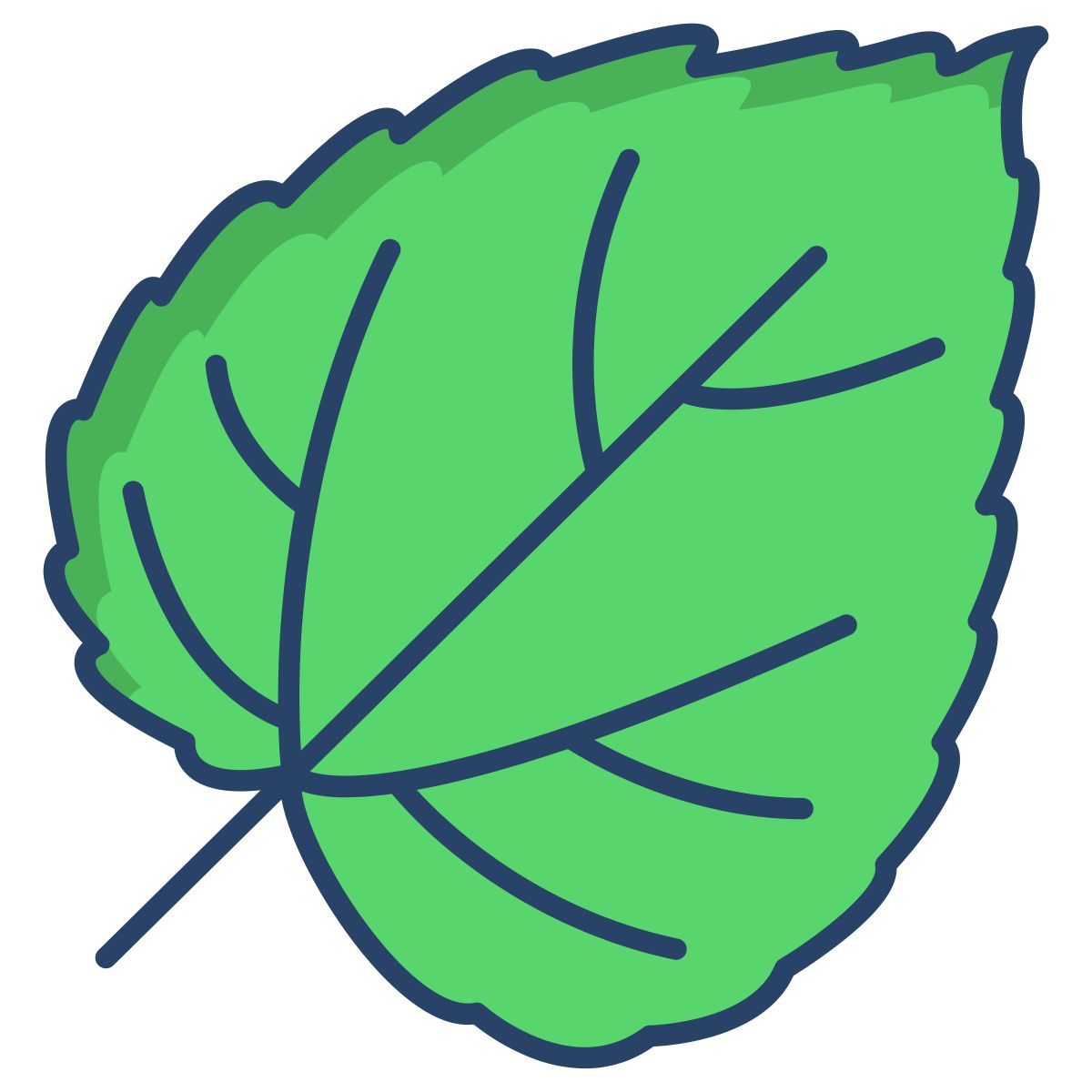 mulberry leaf icon