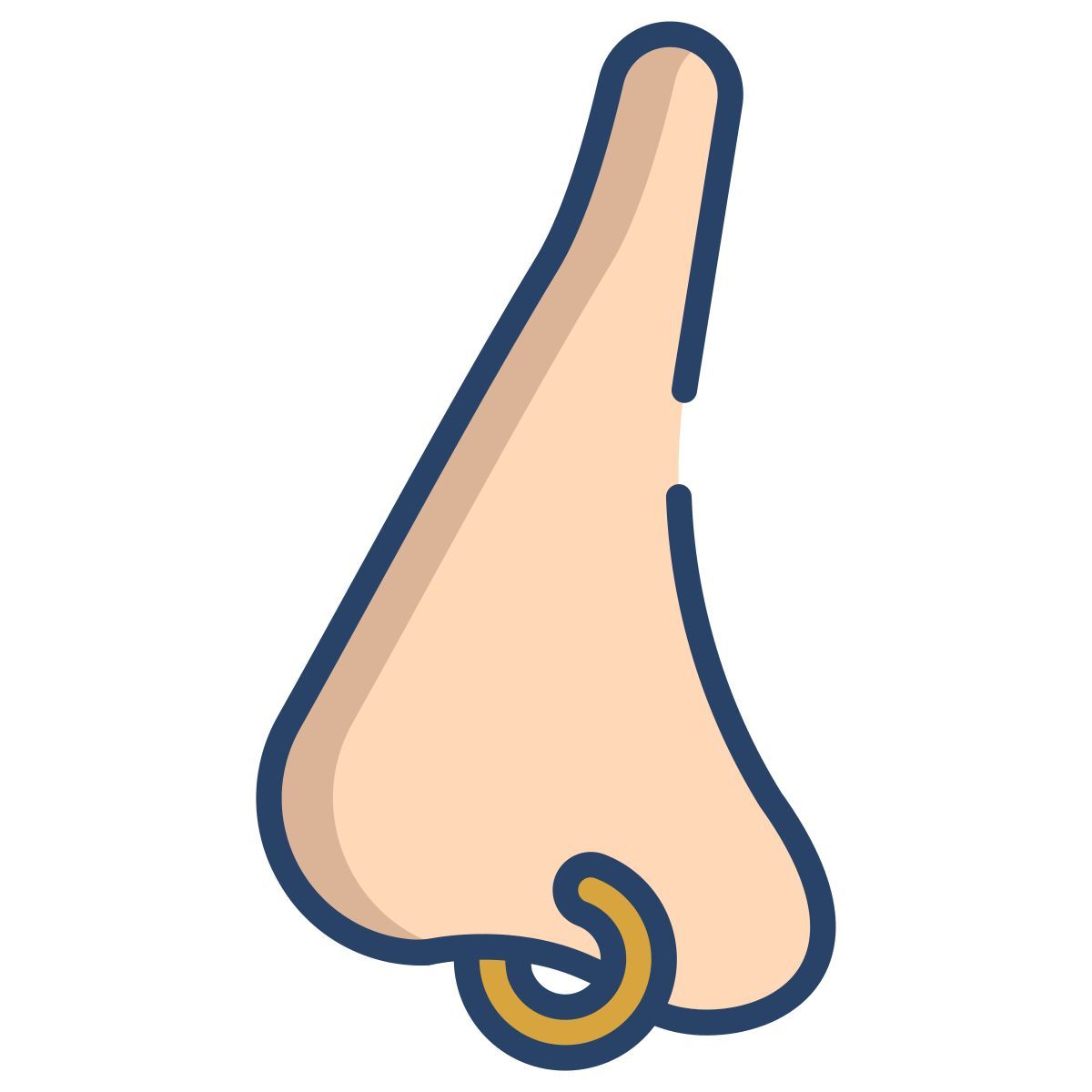 perforación de la nariz icon