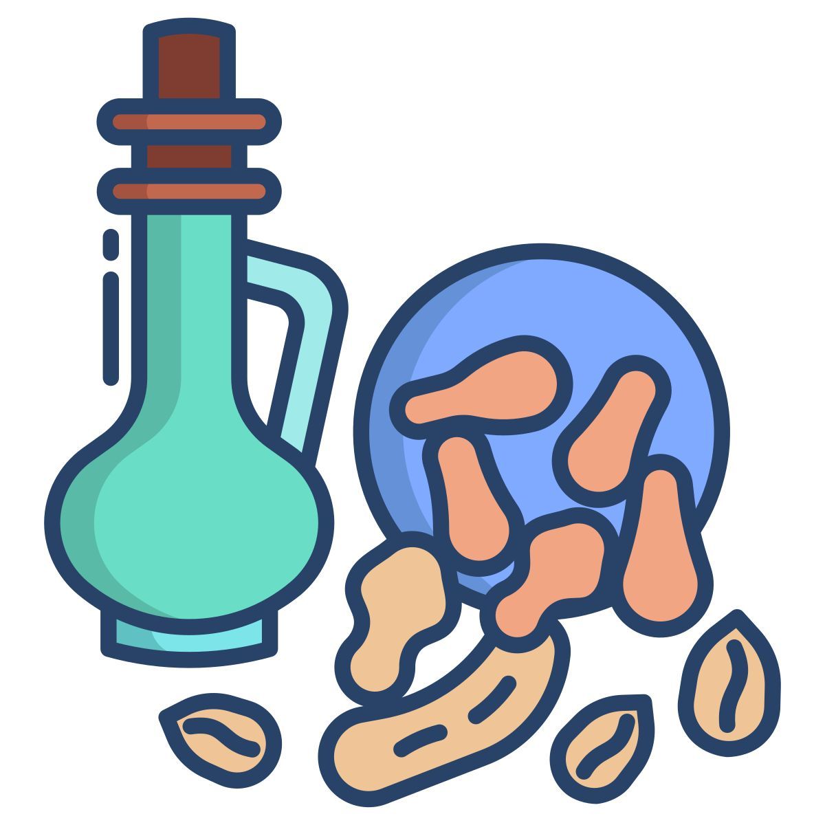 nuts icon