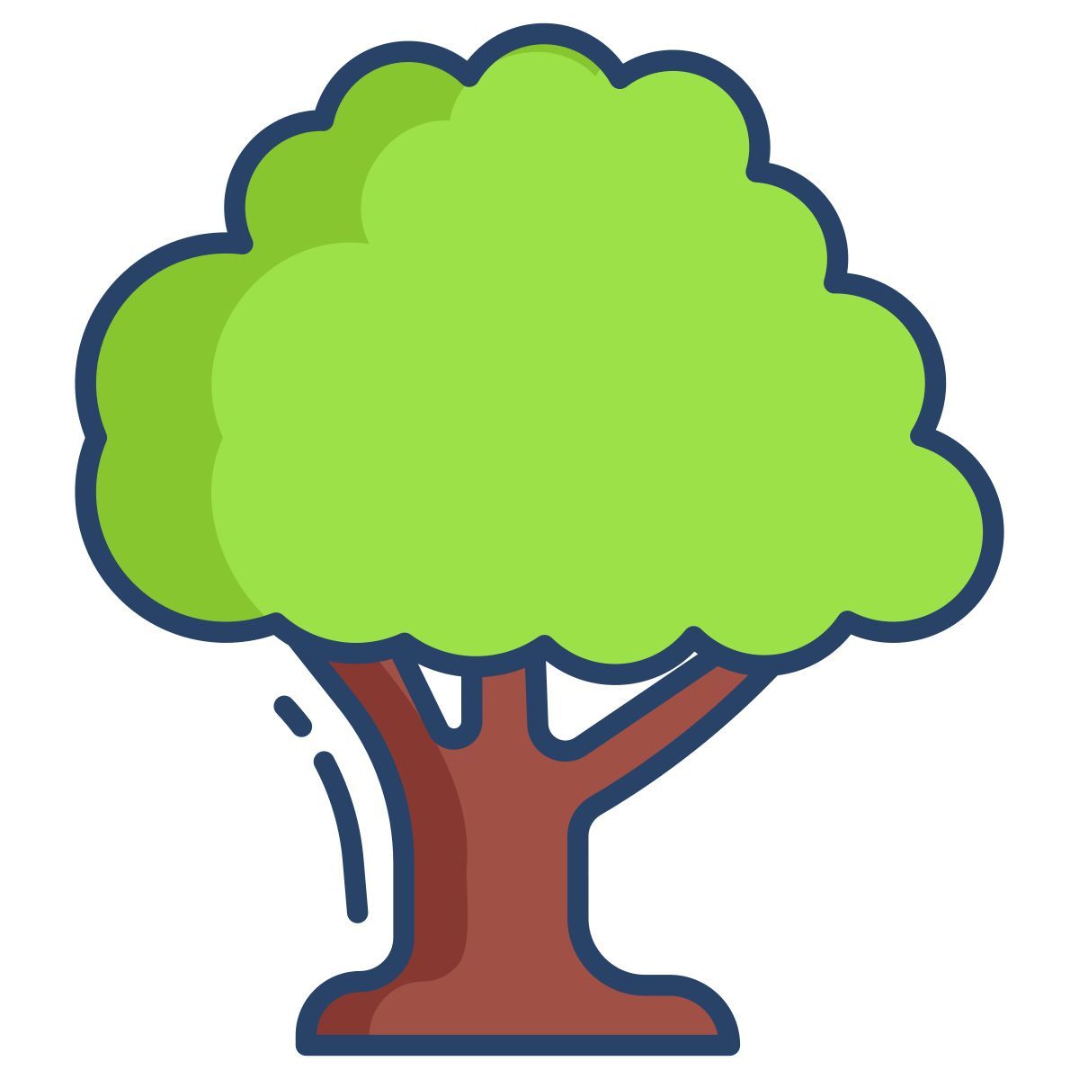 oak icon