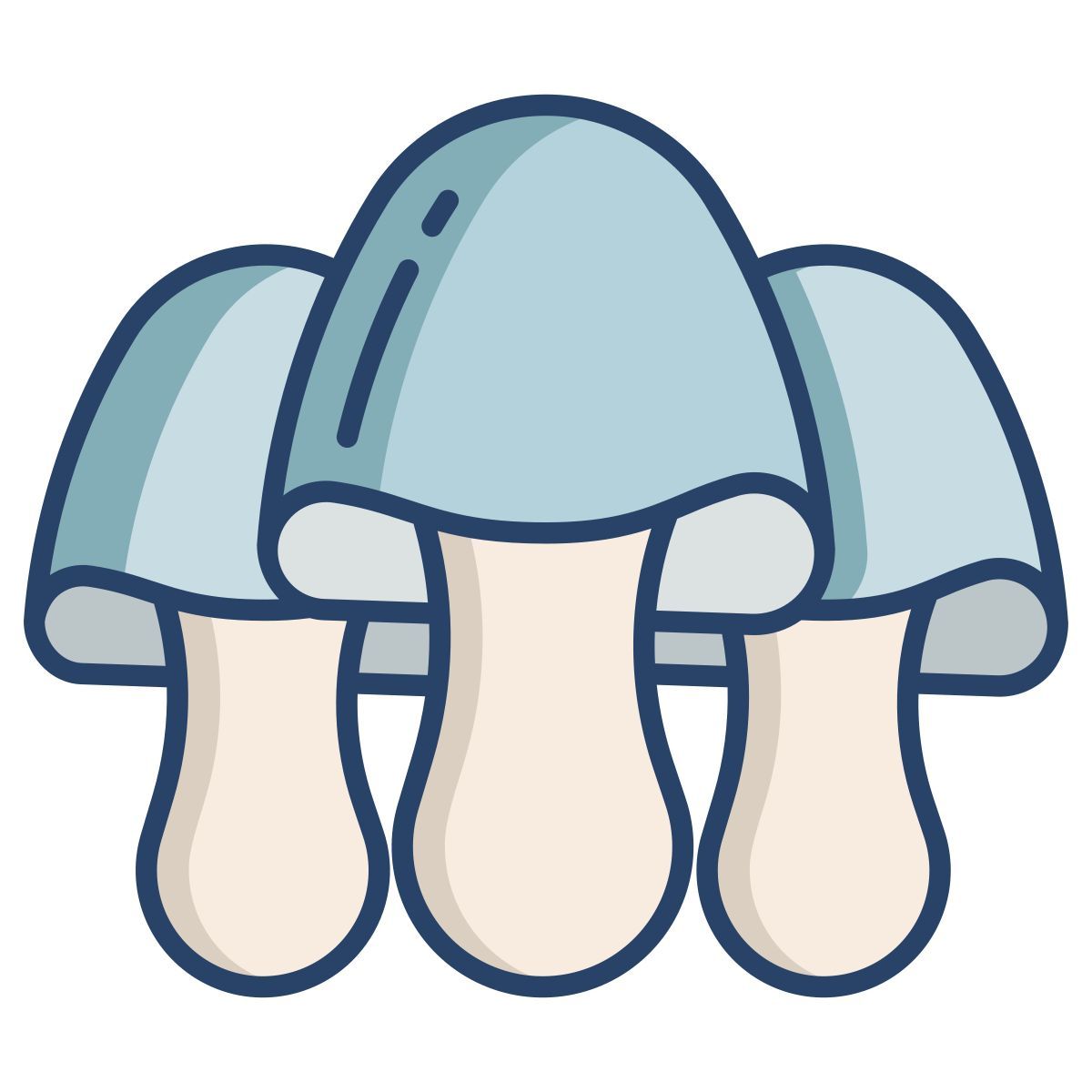 paddy straw mushrooms icon