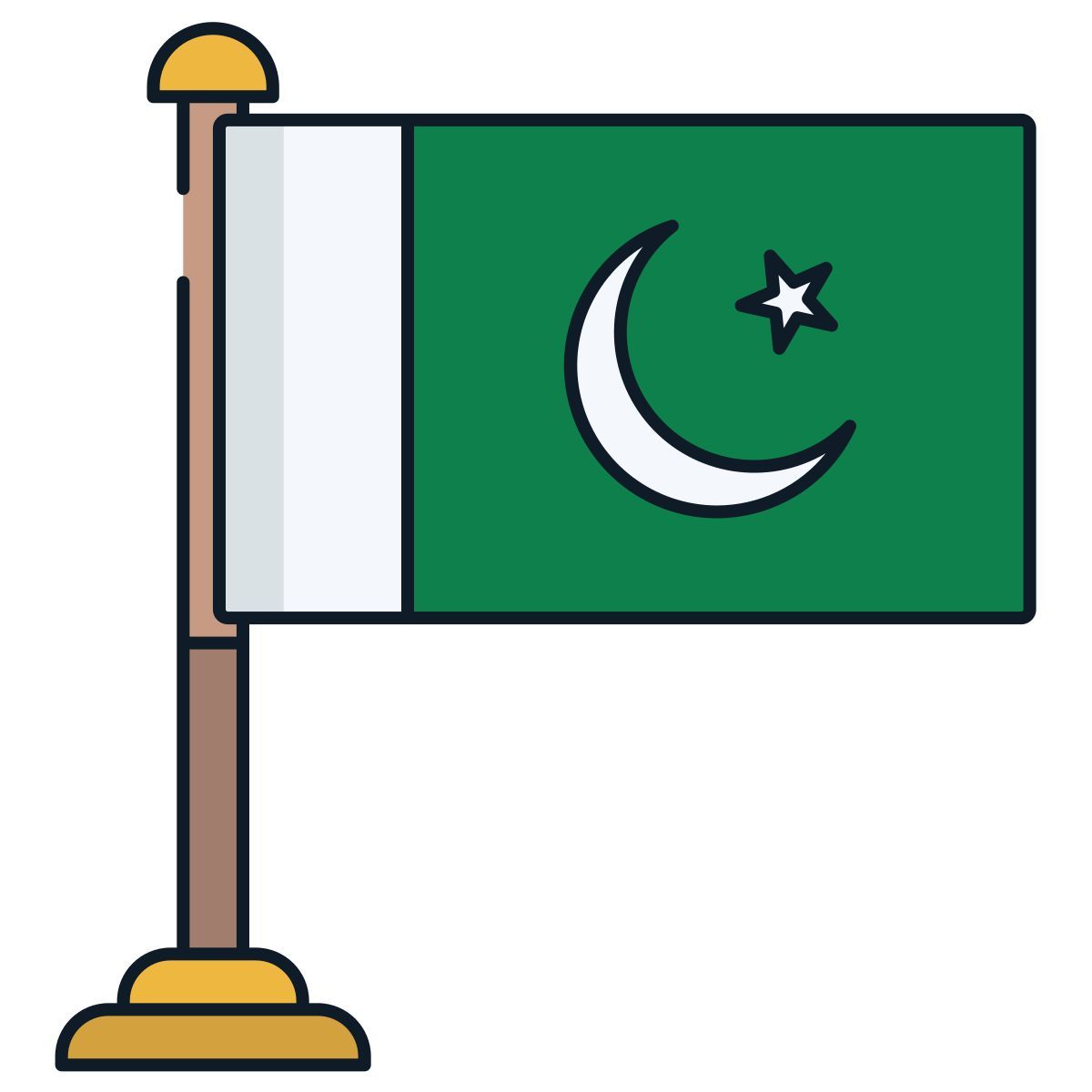 pakistan flag icon