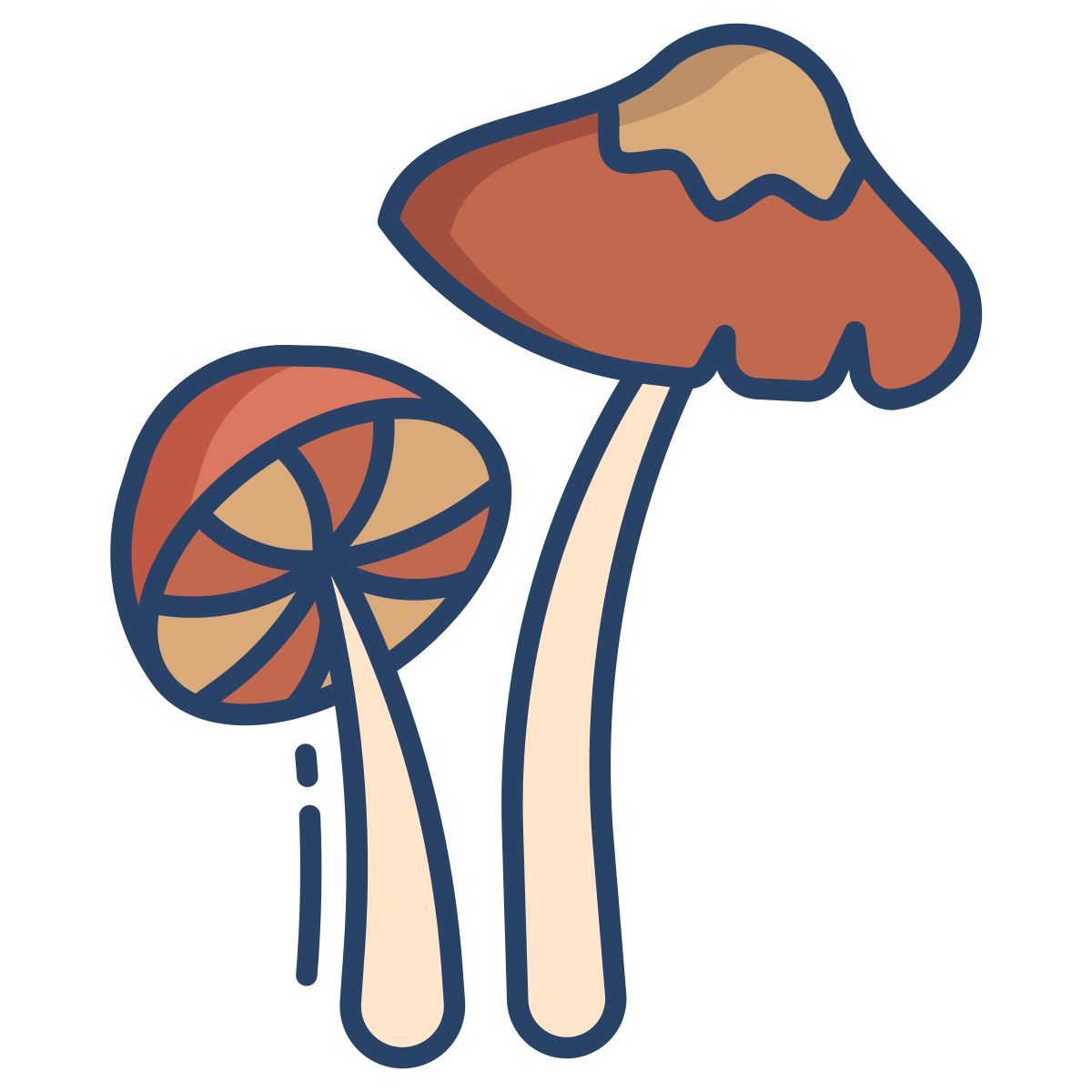 parasol icon