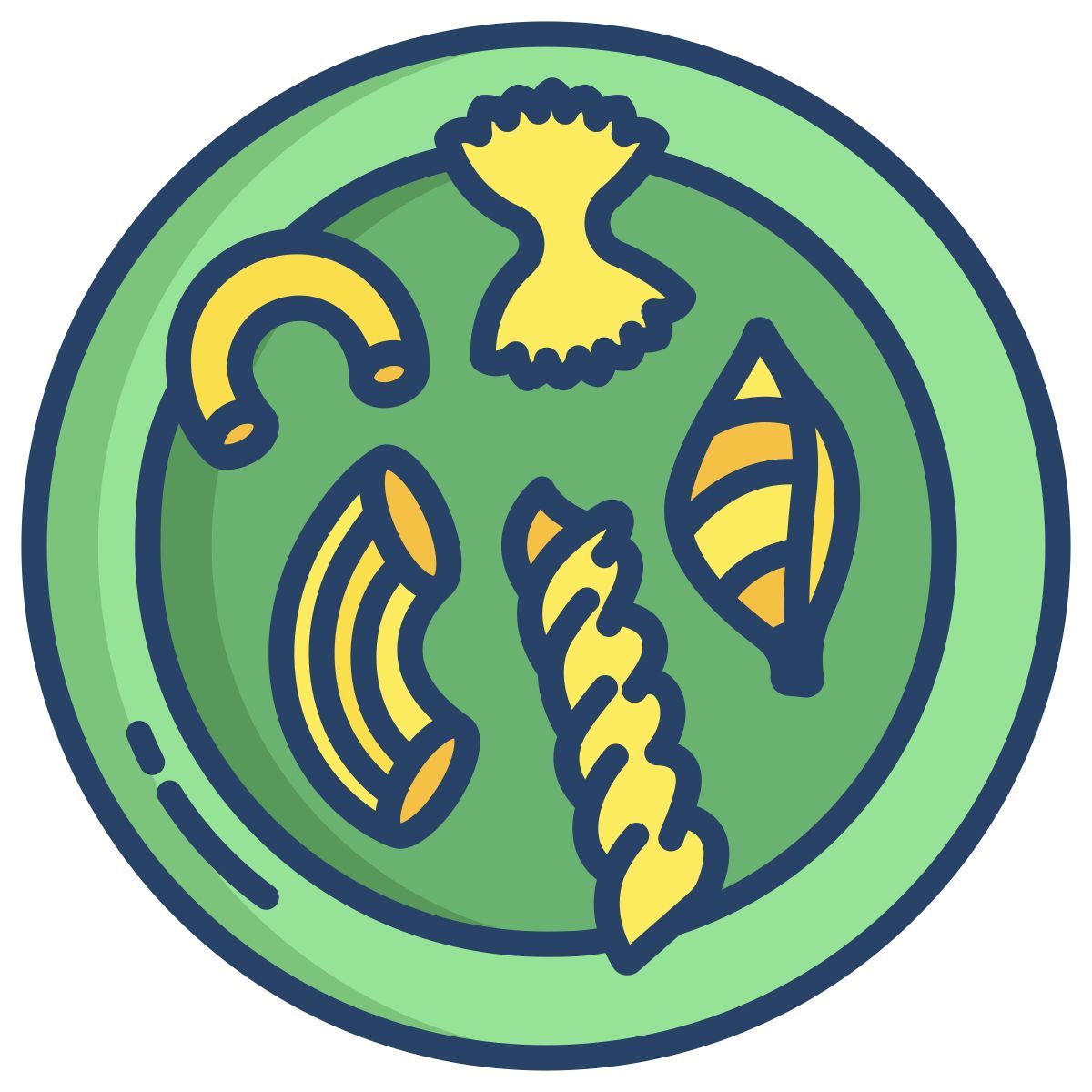 pasta icon