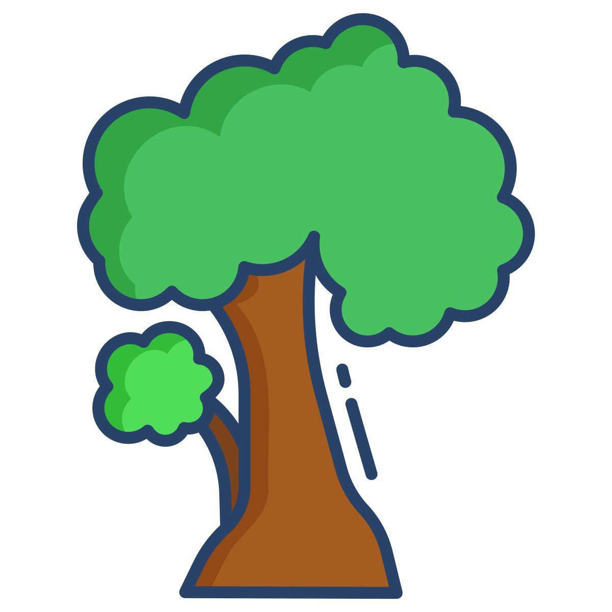 pignut hickory icon
