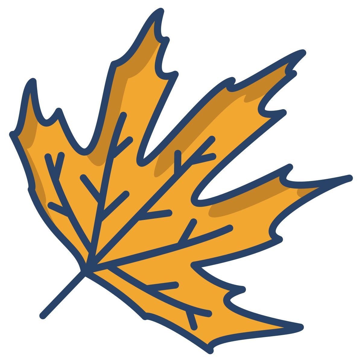 plane tree leaf icon