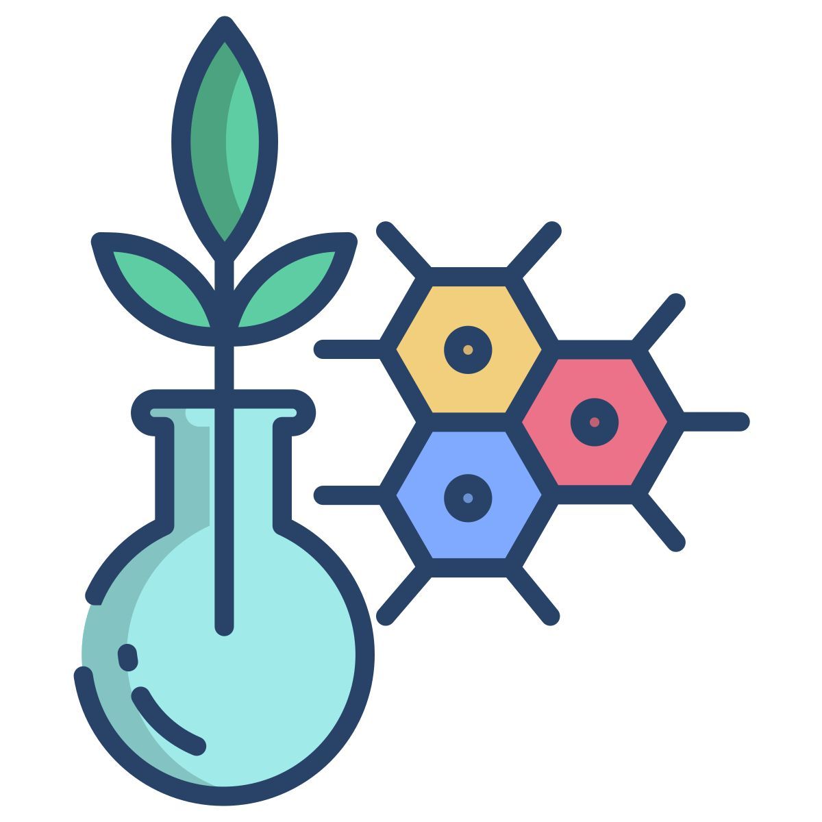 plant biology icon