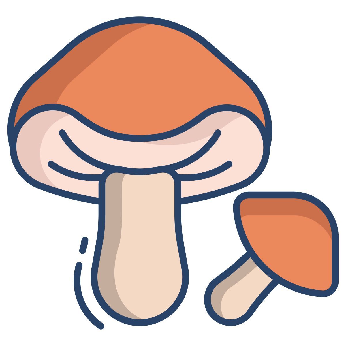 porcini mushrooms icon