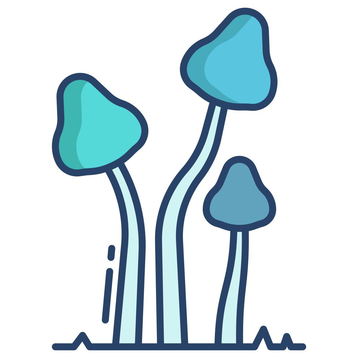 psilocybe semilanceata icon