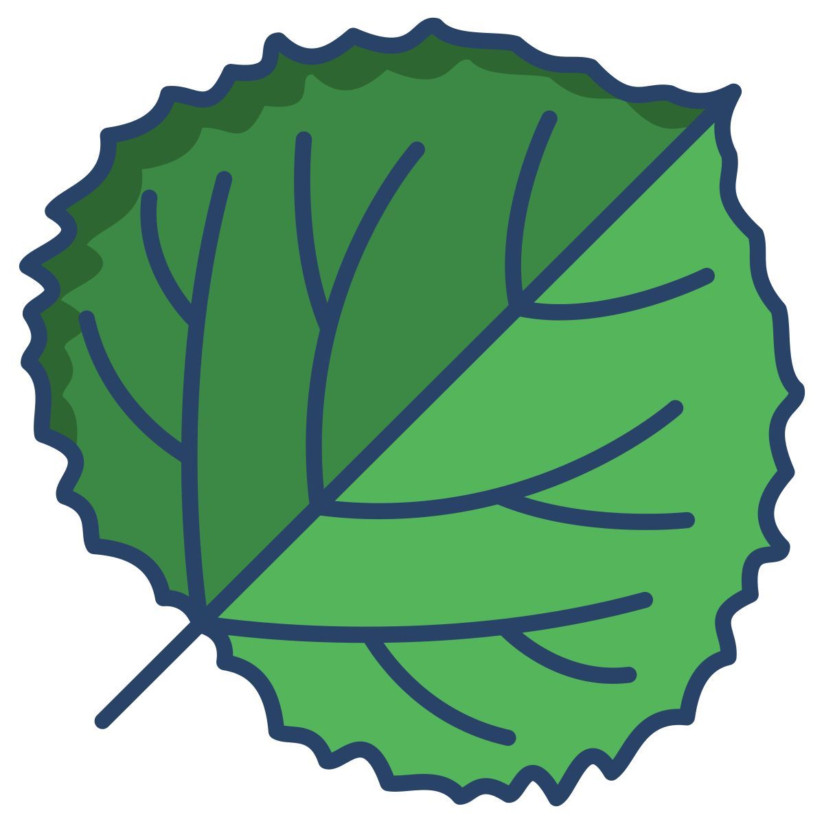 quaking aspen leaf icon