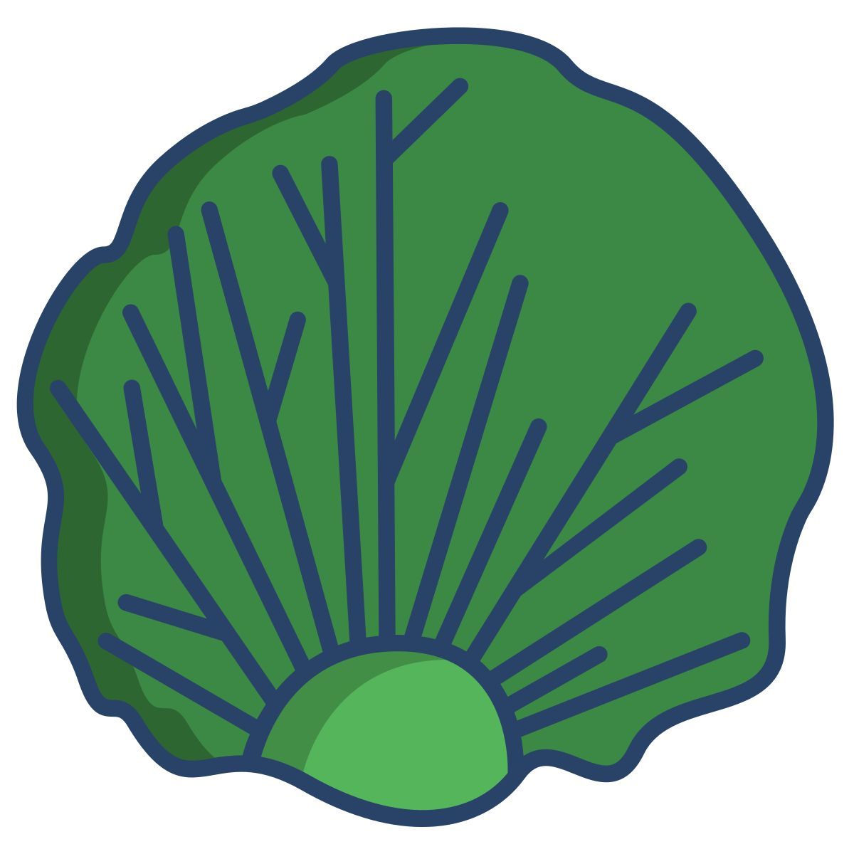 radicchio leaf icon