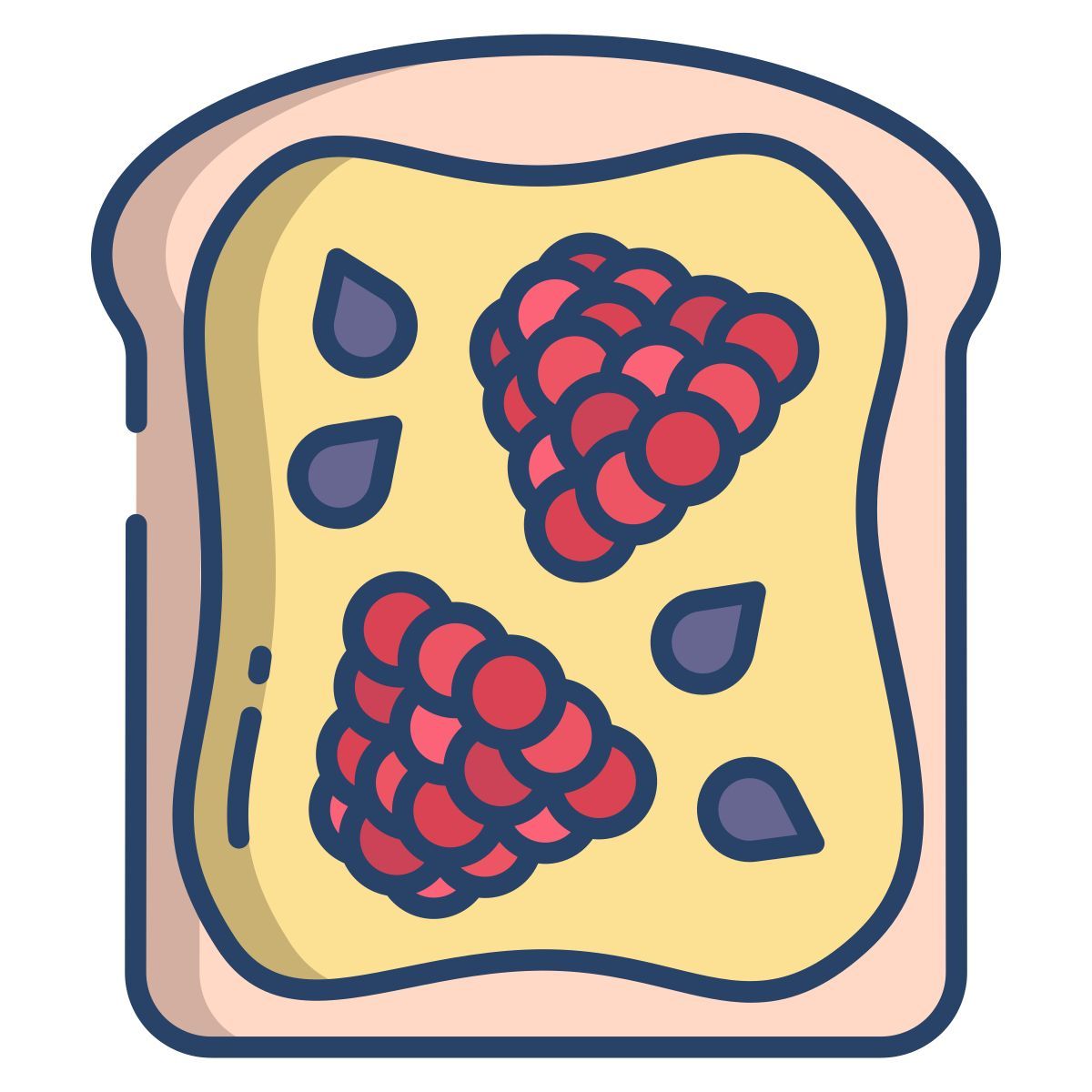 raspberry toast icon