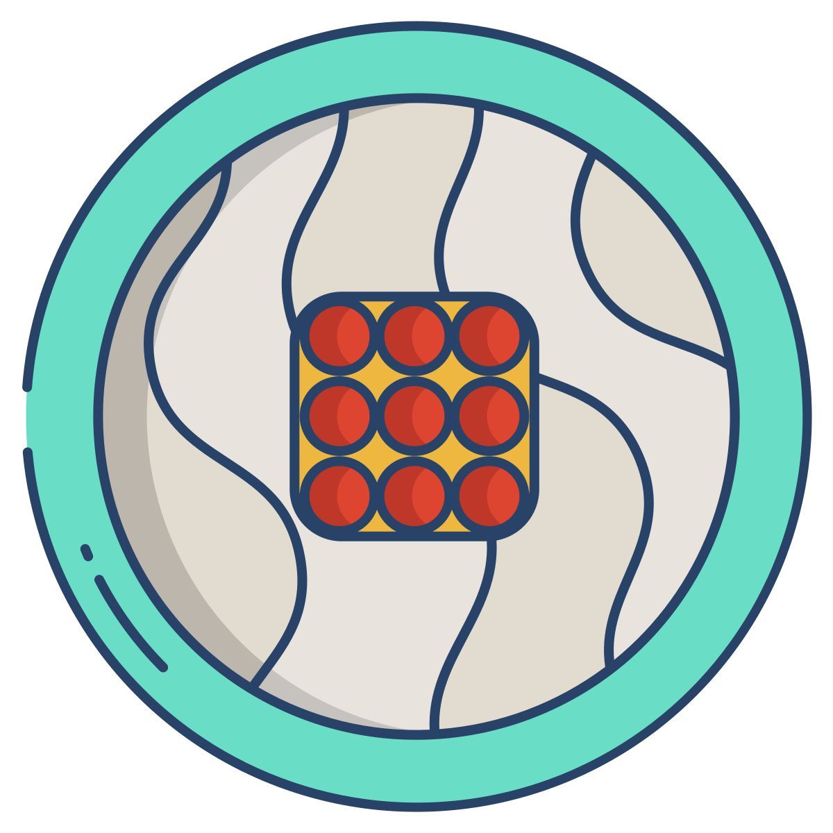 salmon fish red caviar on sushi icon