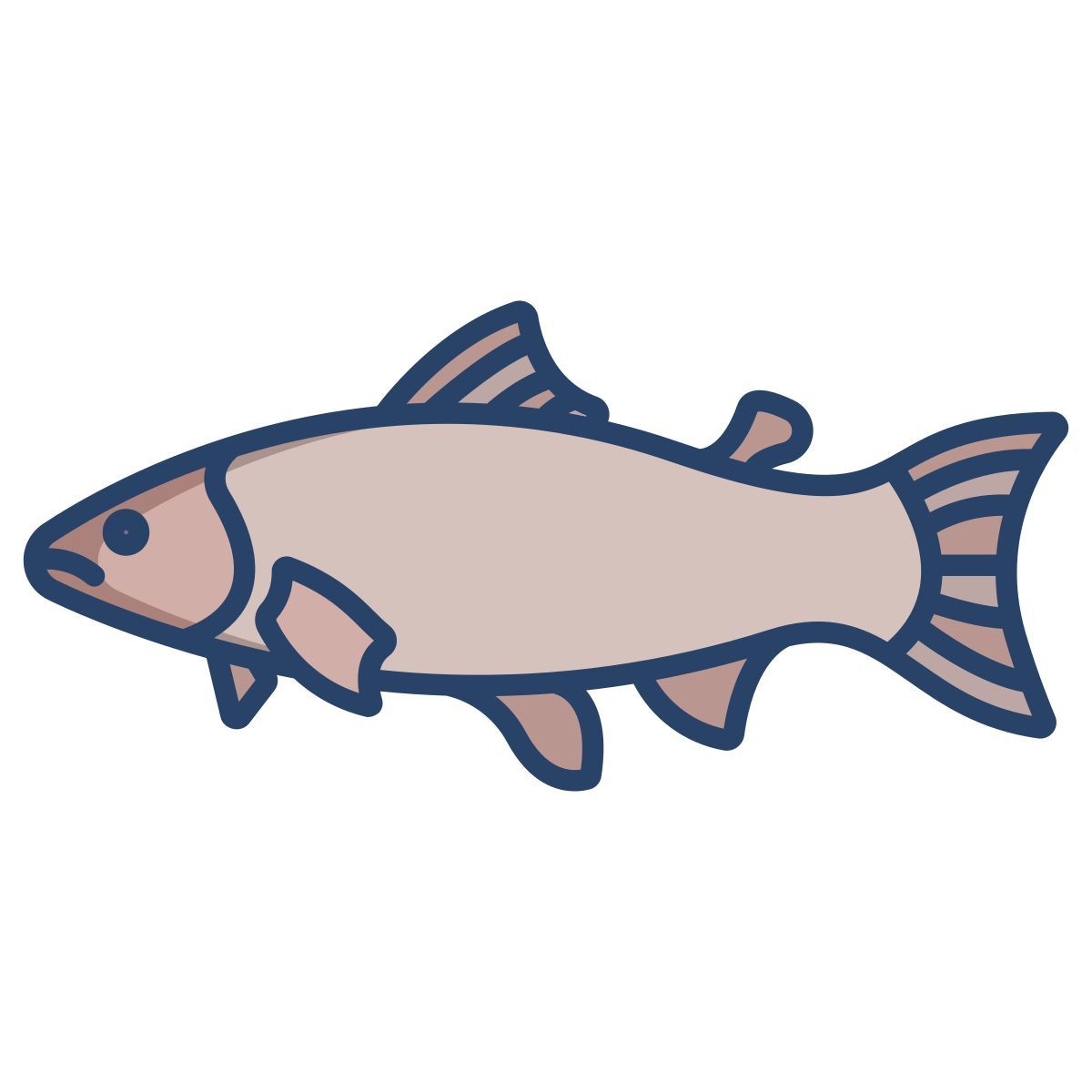 salmon fish icon