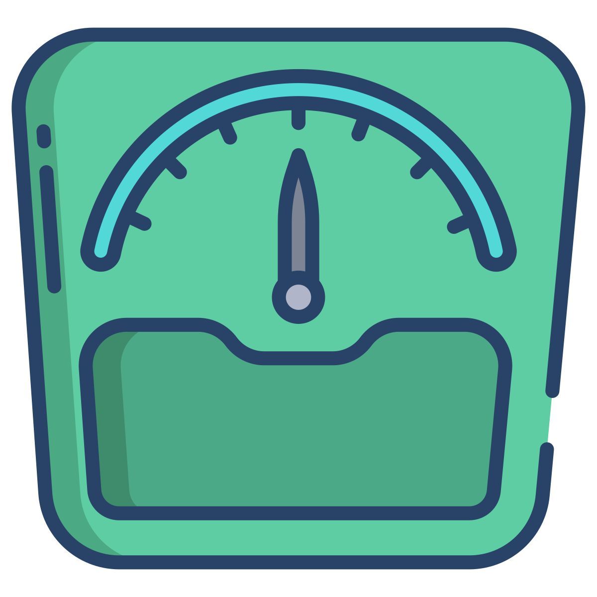scale icon