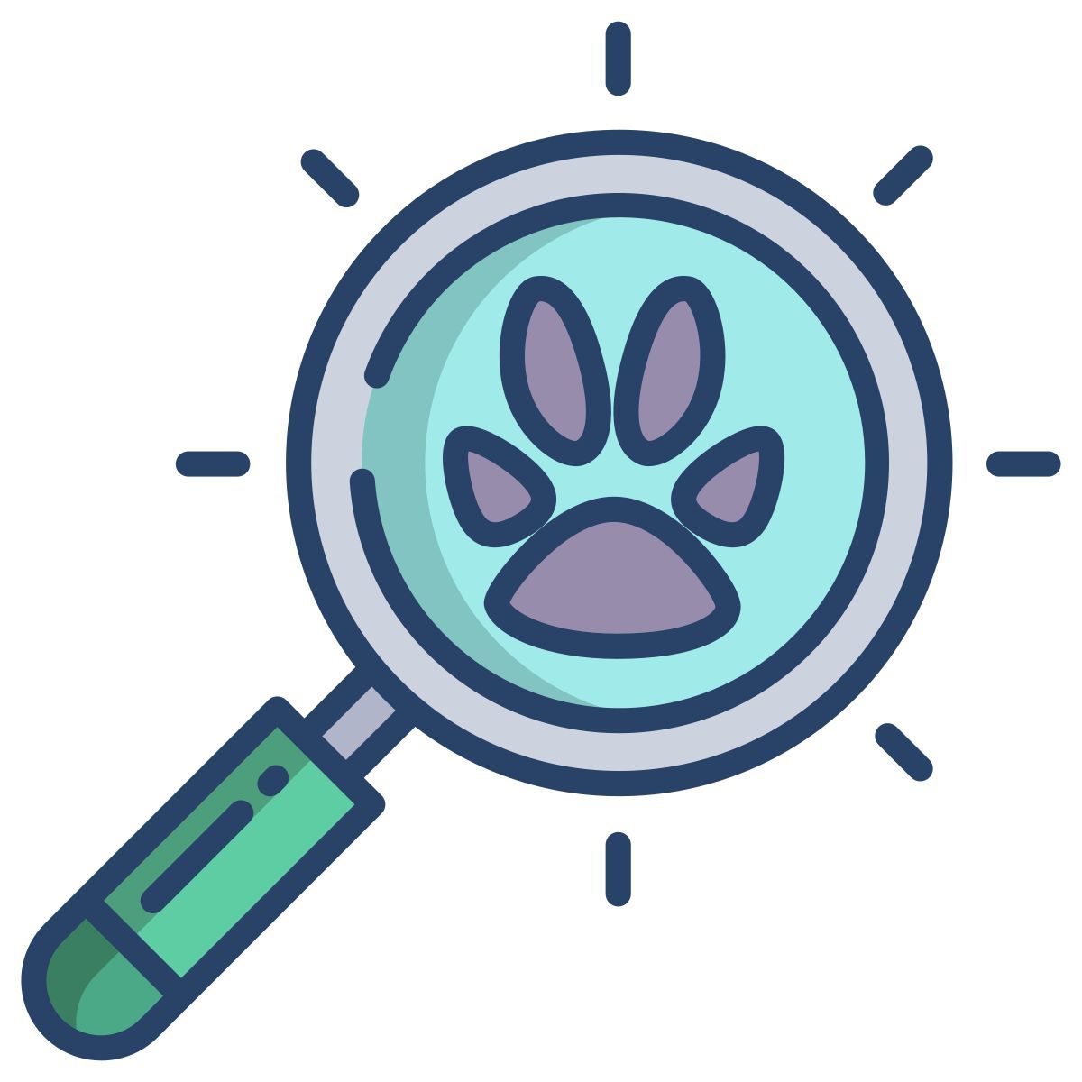 search icon