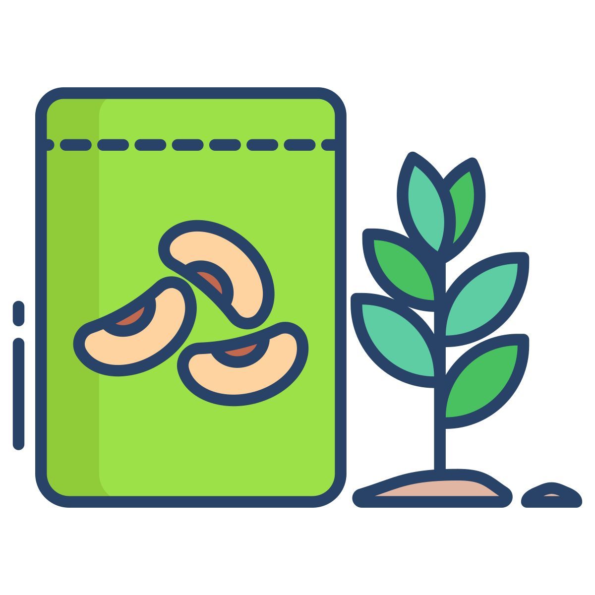 seeds icon