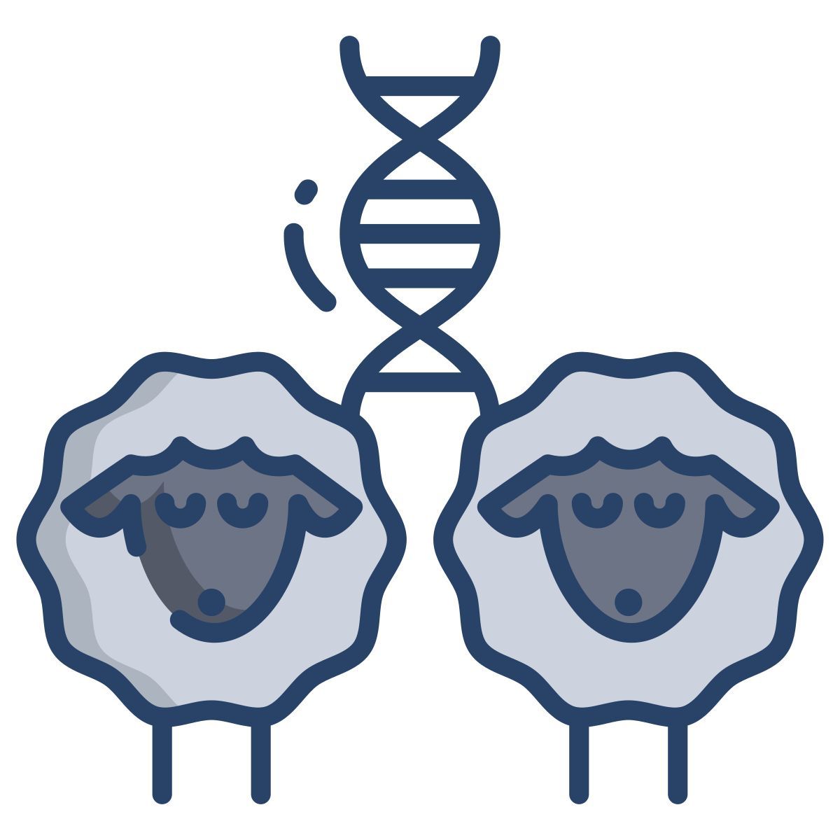 sheep dna icon
