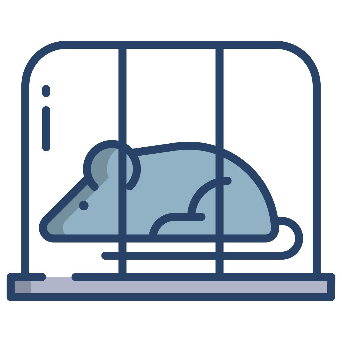 testing icon