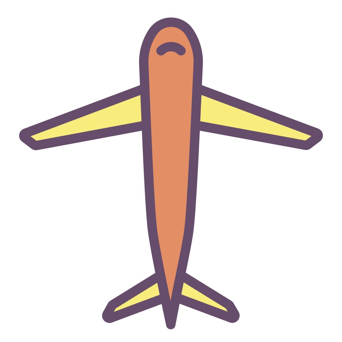airplane icon