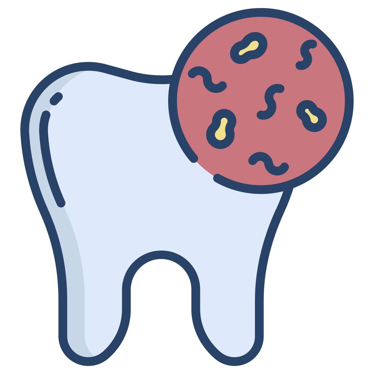 Bacteria icon