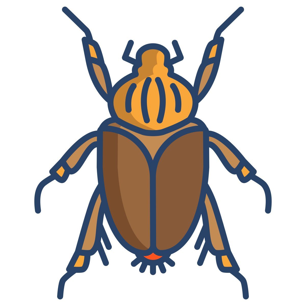 beetle icon