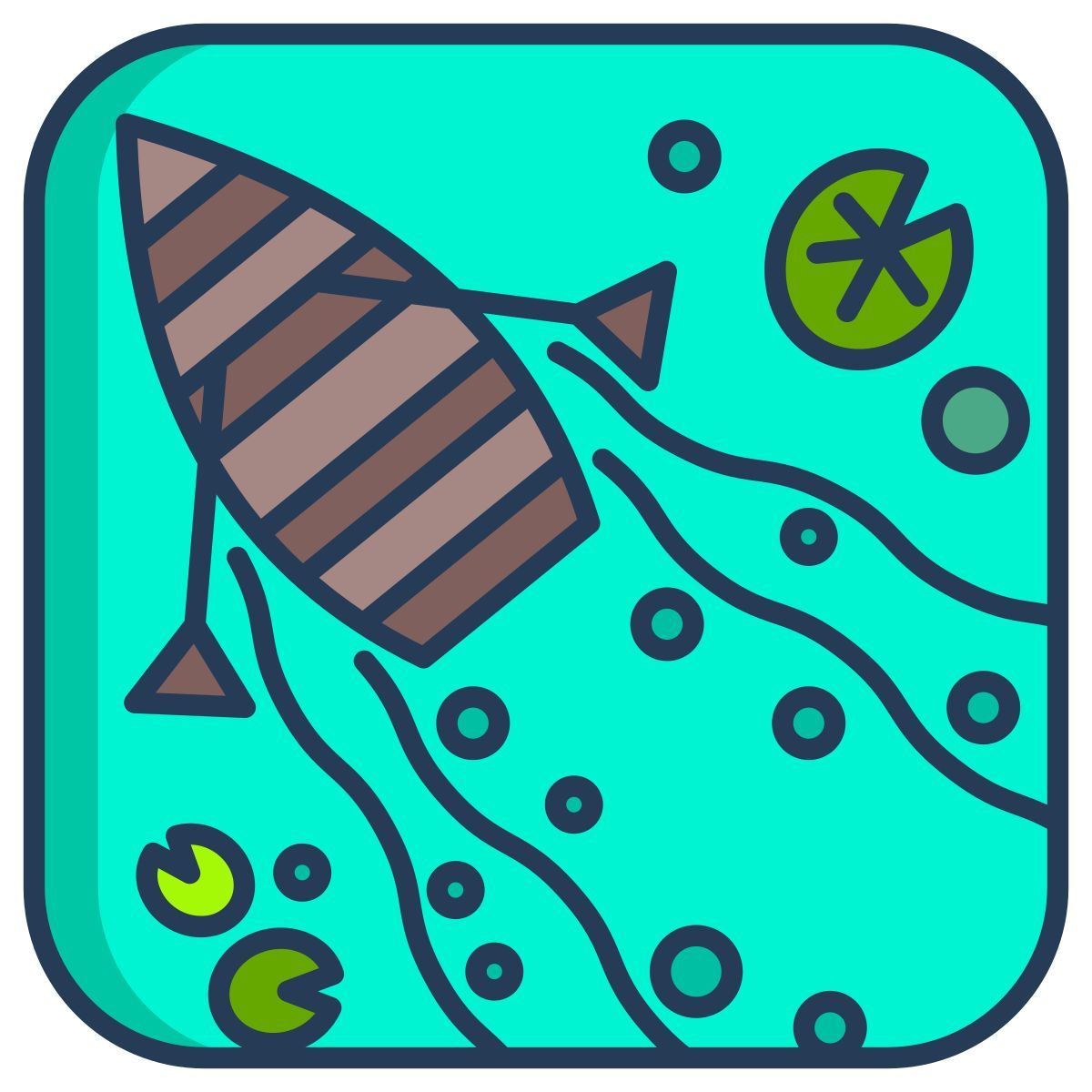 boat icon