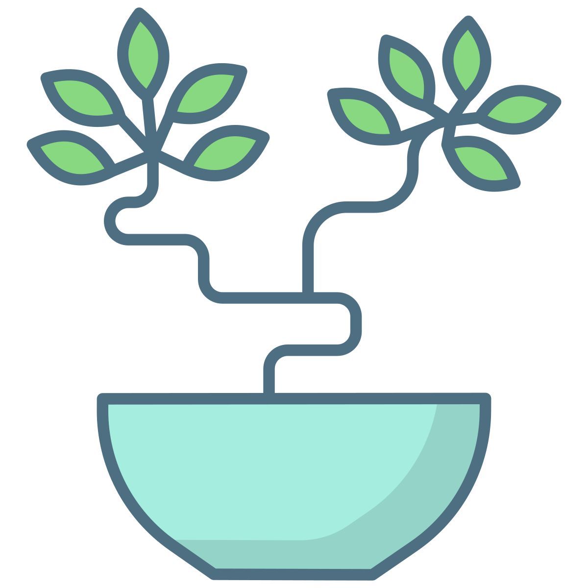 bonsai icon