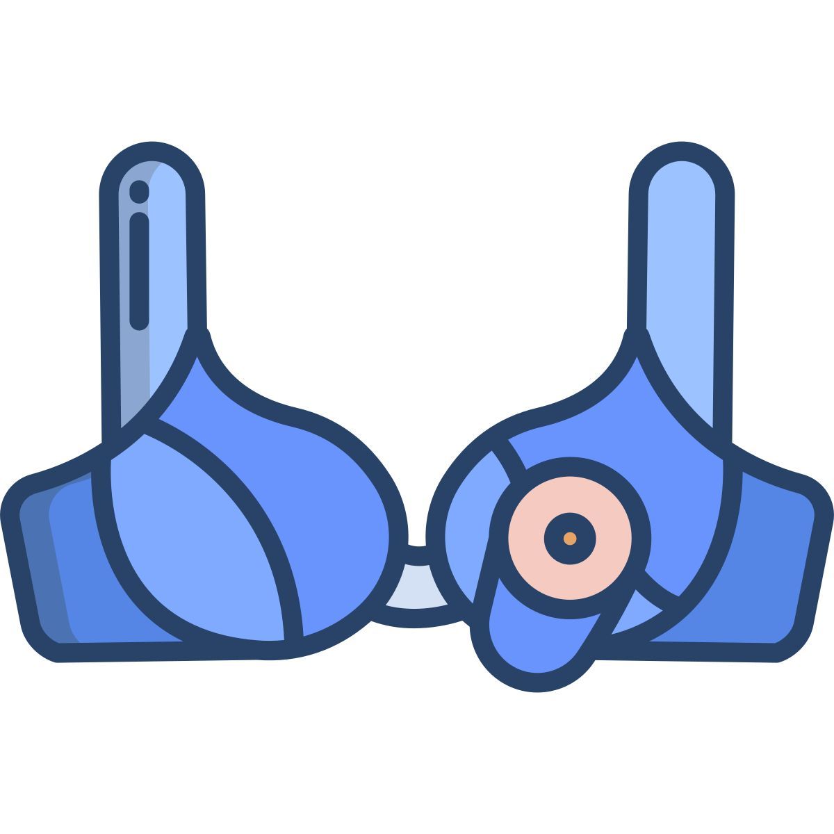 bra icon